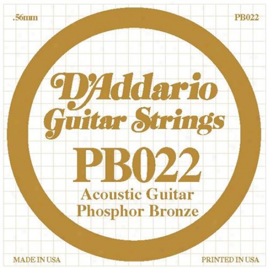 D'addario Pb022 Single Phosphor Bronze Wound - 022