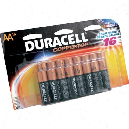 Duracell Mn1500b Aa Alkaline Battery Value Pack