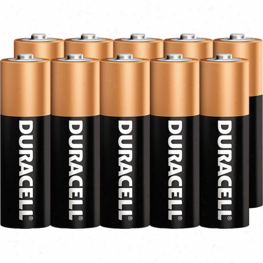 Duracell Size Aa Alkaline Battery (package Of 10)
