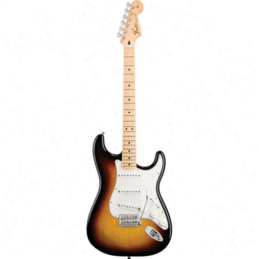 Fender&reg; 014-4602-532 Standard Stratocaster&reg; Electric Guitar