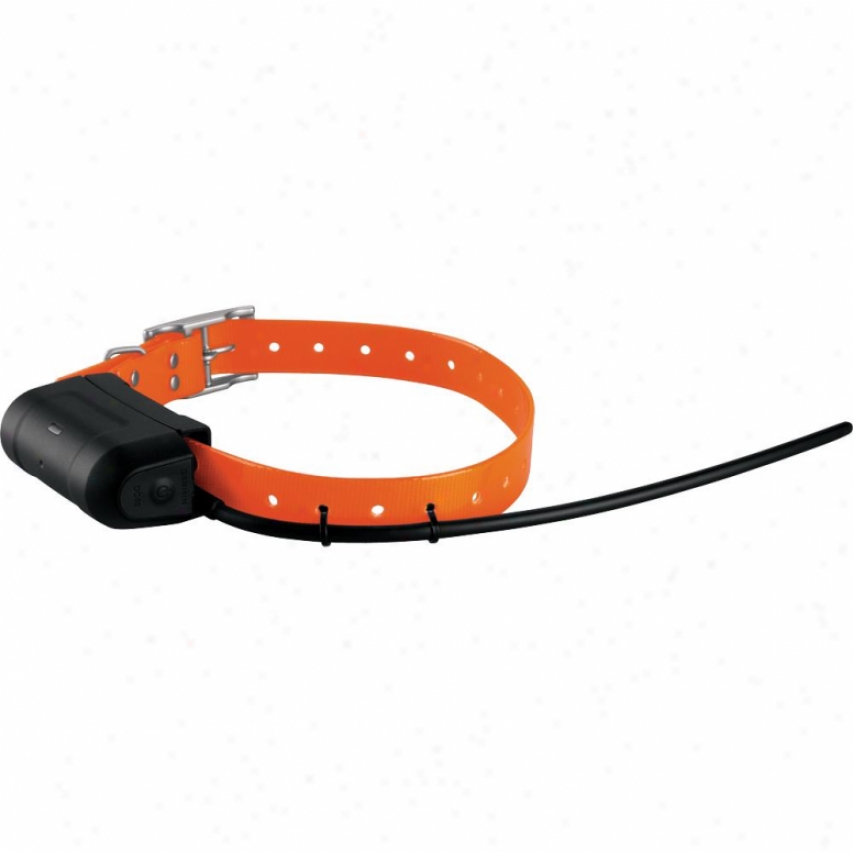 Garmin Dc 40 Gps Dog Tracking Collar