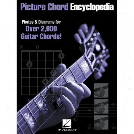 Hal Leonard Hl 00695224 Picture Chord Encyclopedia