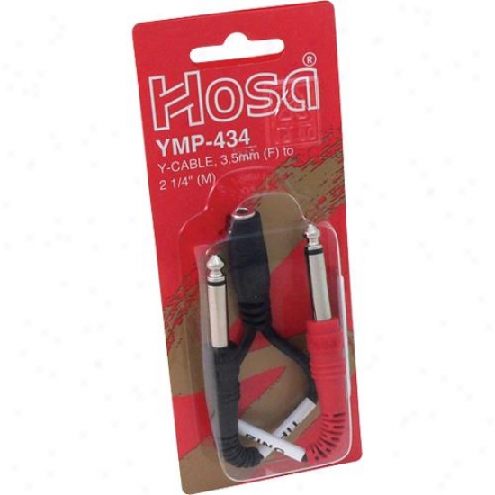 Hosa Ymp-434 3.5mm Trs (f) To Dual 1/4" Ts