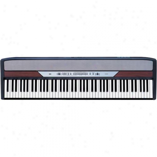 Korg Sp-250 88-key Portable Digital Piano