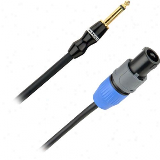 Monster Cable P500s10msp 10 Ft Performer 500 Speaker Cable With Speakon Connect