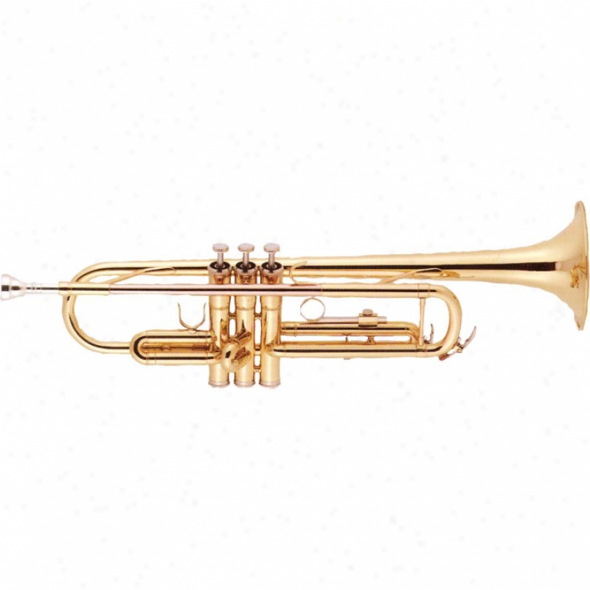 Oxford Open Box T-6414s Trumpet