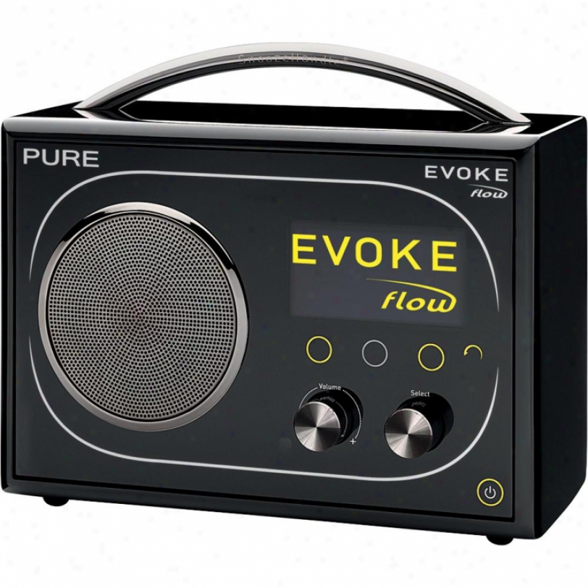 Pure Evoke Flow Fm & Internet Alarm Radio