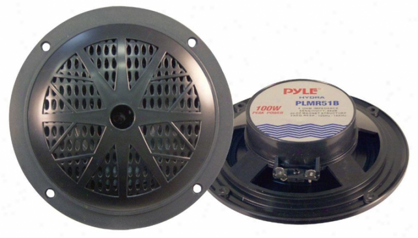 Pyle 100 Watts 5.25' 2 Way Black Marine Speakers