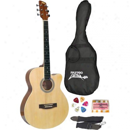 Pylepro 39-inch Beginner Jammer Acoustic Guitar - Pgakt39