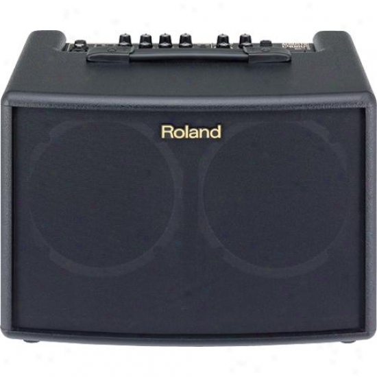 Roland Ac-60 Acoustic Chorus Guitar Amplifier