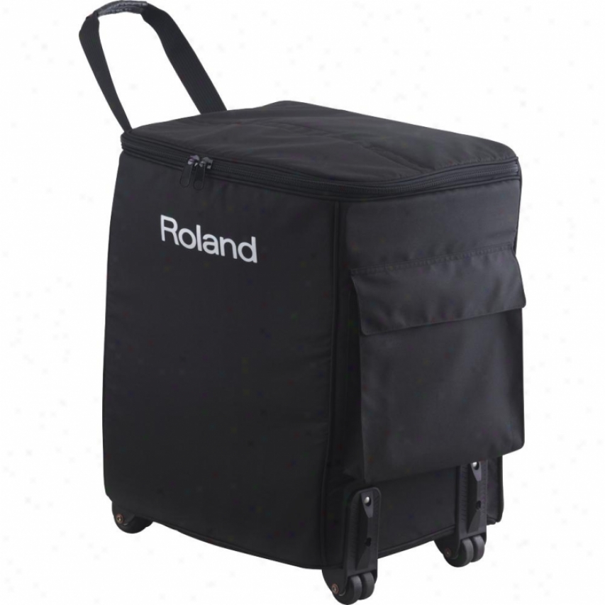 Roland Cb-ba330 Carrying Case