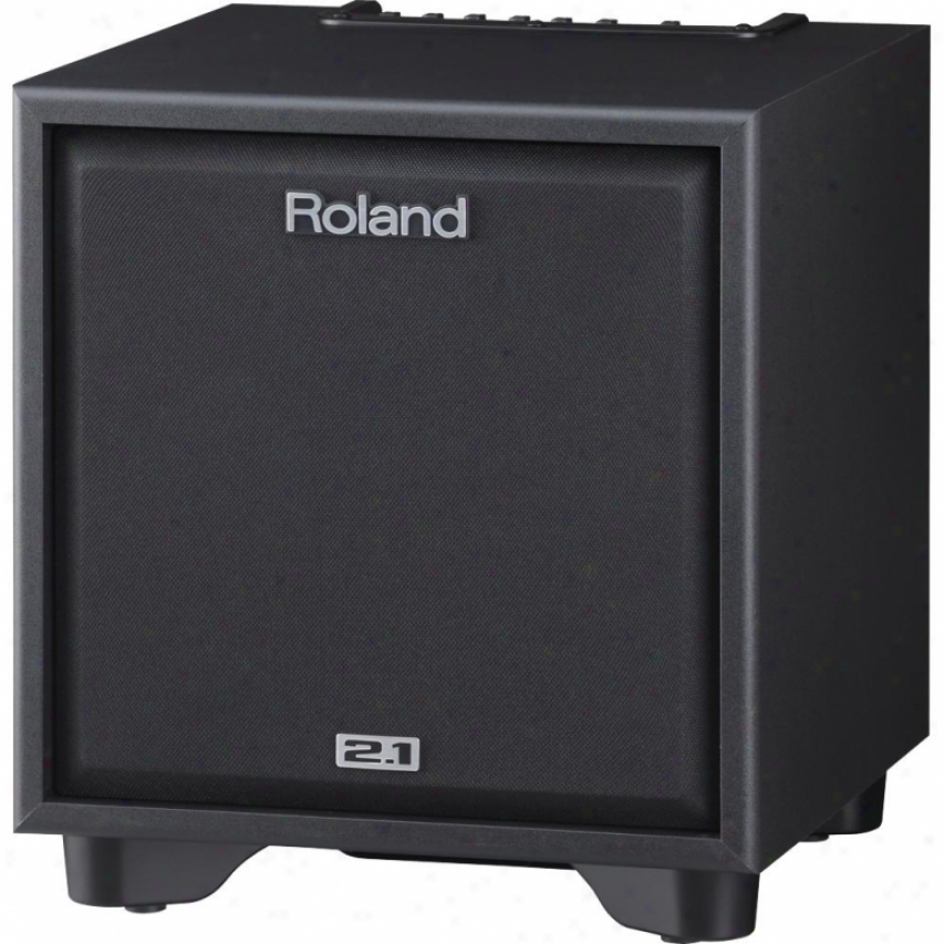 Roland Cm-110 Cube 2.1 Monitor Systeem For Electronic Instruments