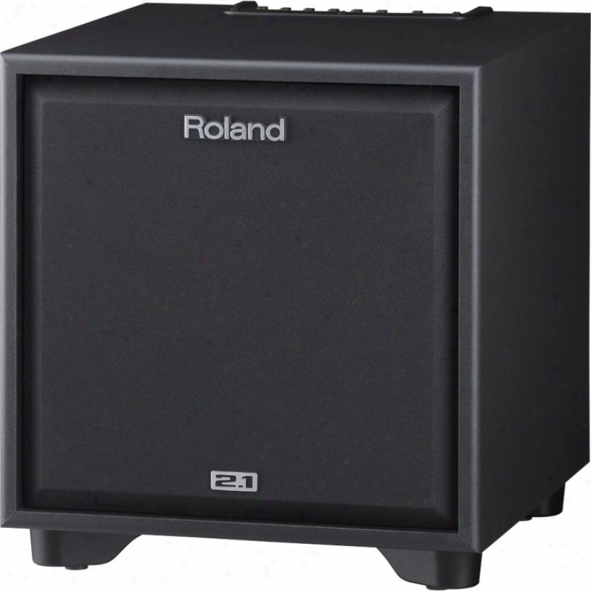 Roland Cm-220 Cube Monitor 2.1 Monitor System For Electronic Instruments