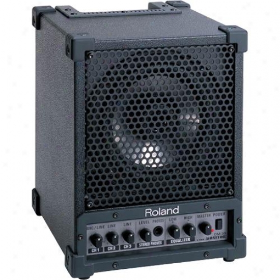 Roland C-30 30 Watt Cube Monitor Combo Amp