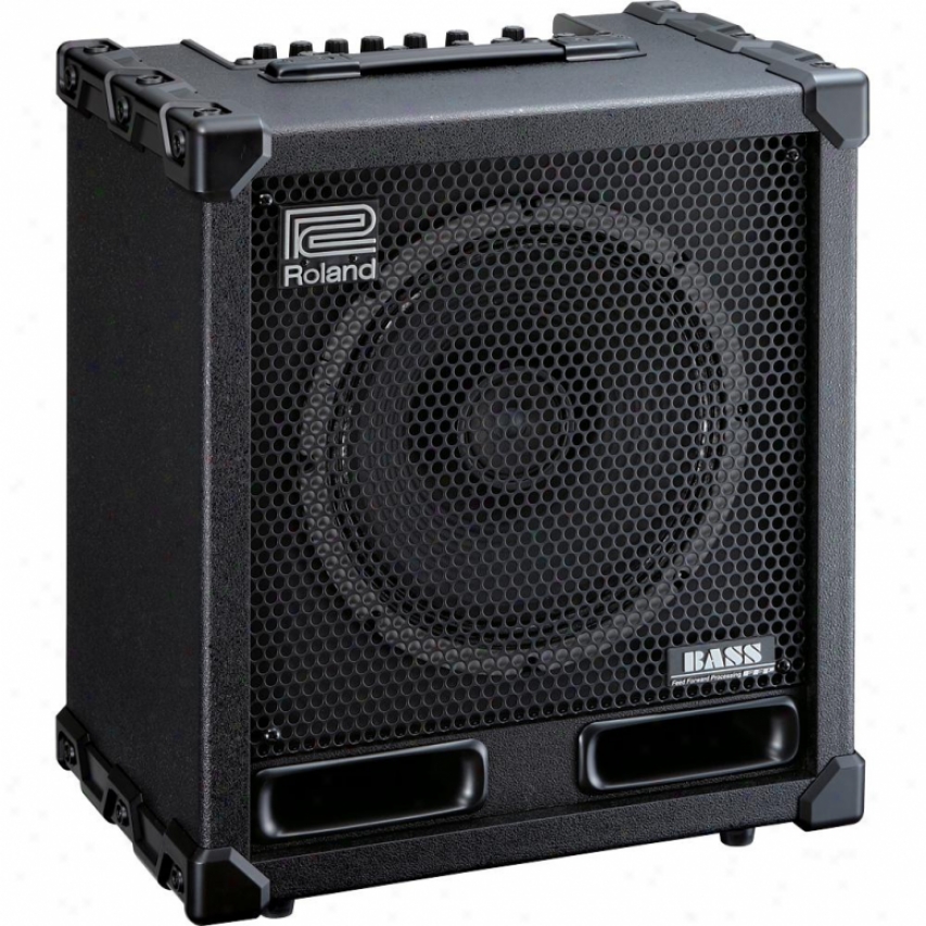 Roland Cube-120xl 120-watt Bass Amplifier