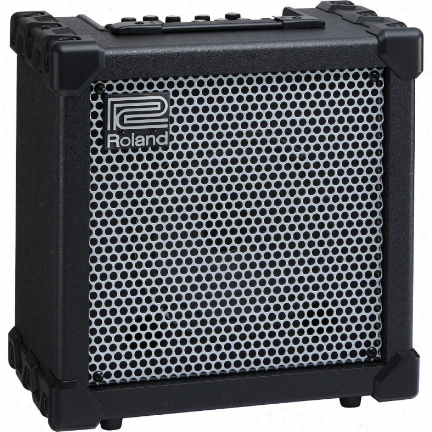 Roland Cube-20xl 20-watt Bass Amplifier