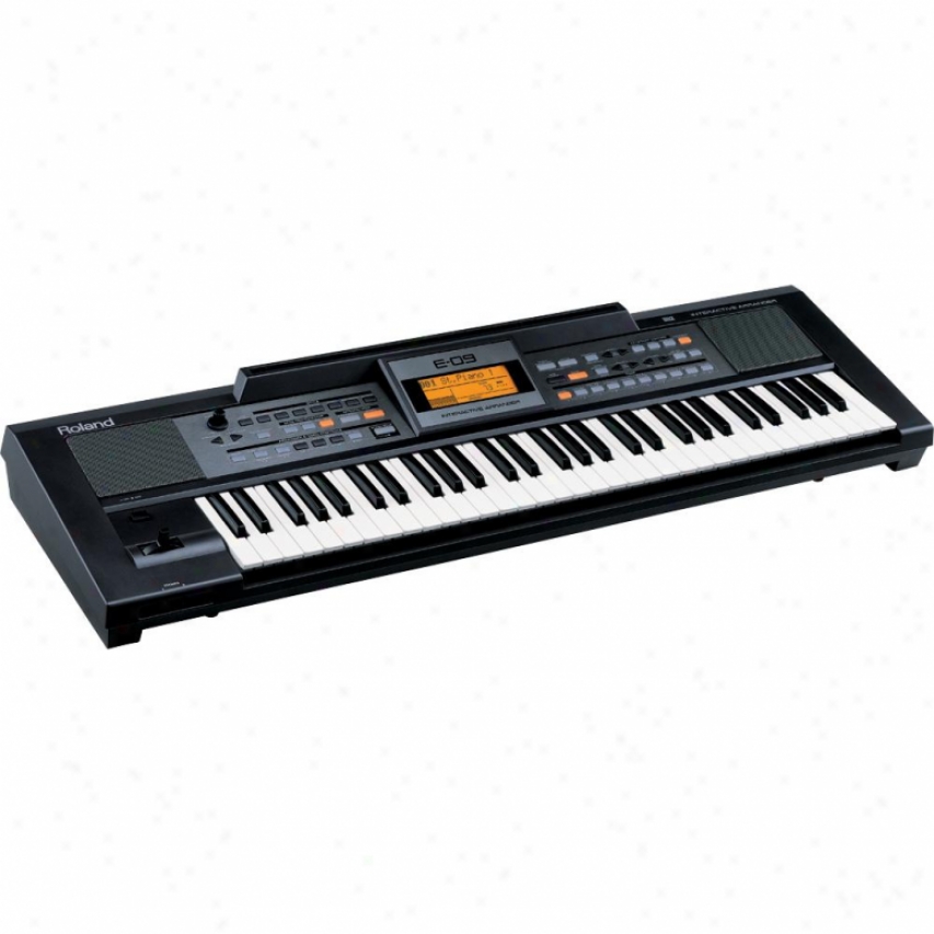 Roland E-09 Interactive Keyboard Arranger