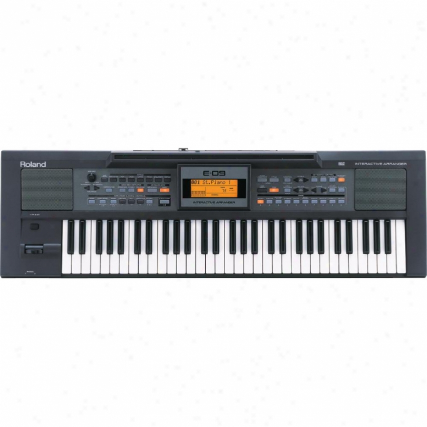 Roland E-09w Imteractive Keyboard Arranger