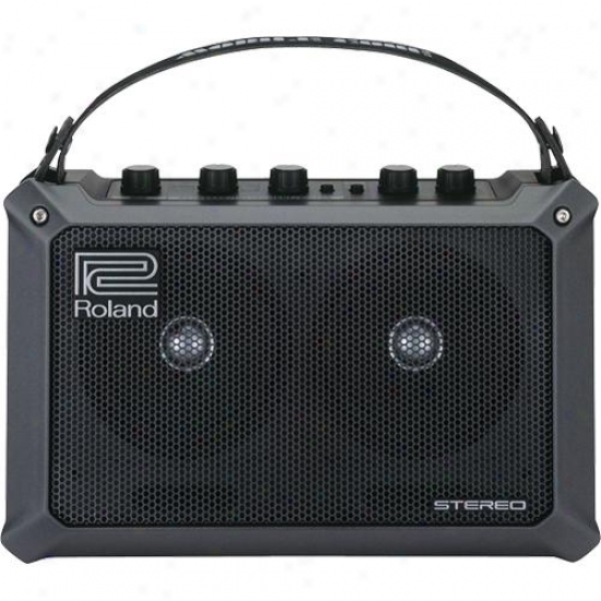 Roland Mobilecube Battery Powered Stereo Musical Instrument Amp