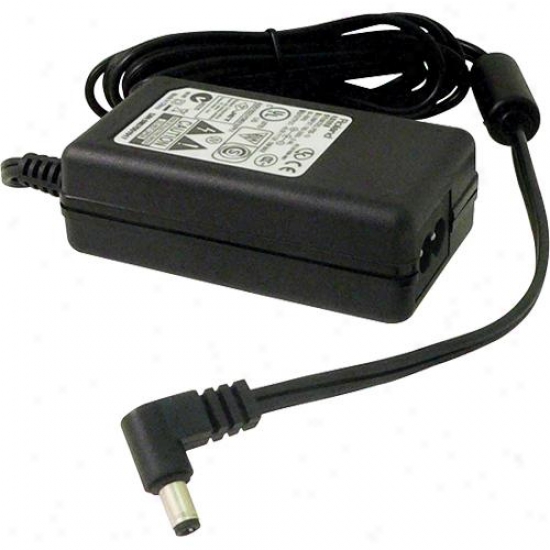 Roland Psb1u Optional Ac Adapter For Mobile-cube Musical Instruent Amp