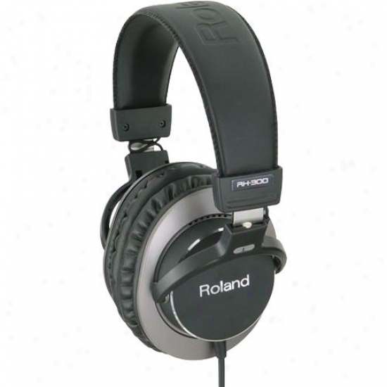 Roland Rh-300 Stereo Headphones