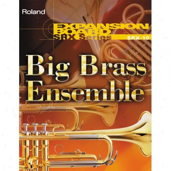 Roland Srx-10 Big Brass Ensemble Expansion Board