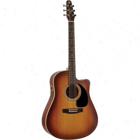 Seagull 003430 Entourage Rustic Cw Qi Acoustic Guitar