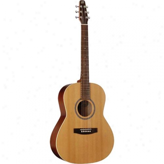 Seagul1 032549 Coastline Folk Cedar Acoustic Guitar - Semi-gloss Custom Finish