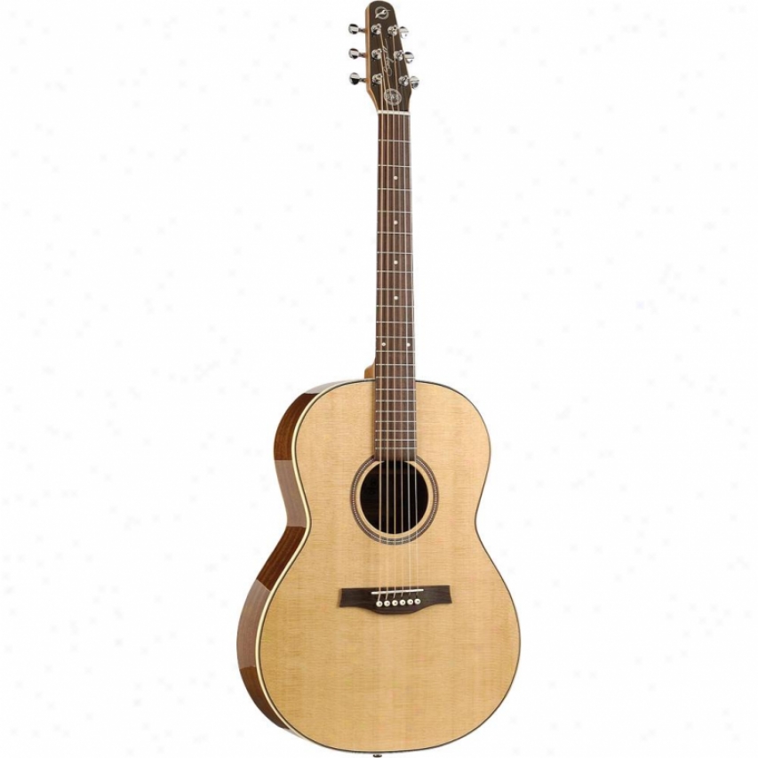 Seagull Maritime Sws Folk High-gloss Guitar 032396