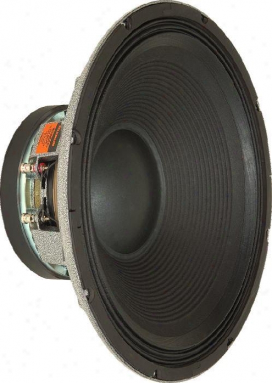 Selenium High Piwer 18 Professional Subwoofer, 1600 Watts Continuous