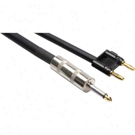 Speaker Cable, Hosa 1/4 In Ts To Dual Banana, 5 Ft