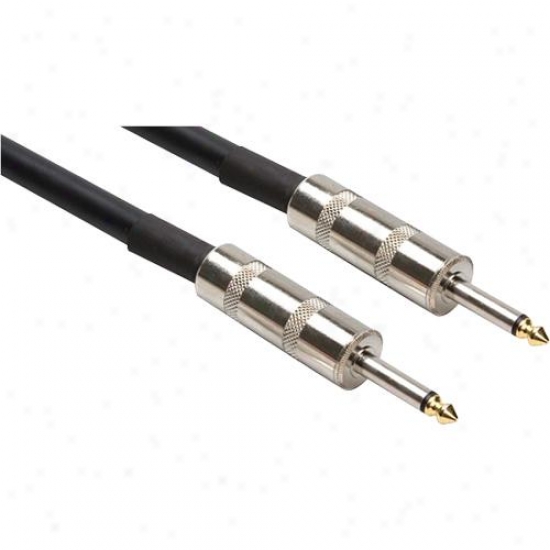 Speaker Cable, Hosa 1/4 In Ts To Same, 100 Ft