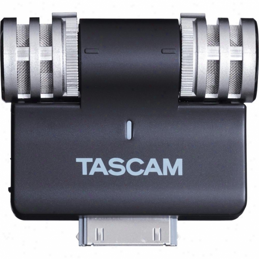 Tascam Im2 Stereo Microphone