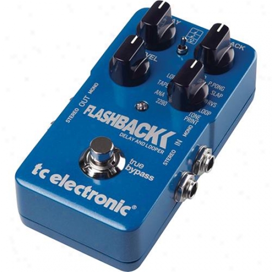 Tc Electronic Flahsback Delay