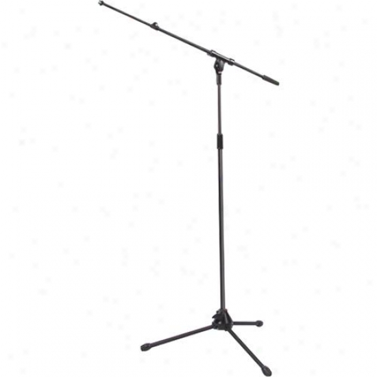 Whirlwind Teb-e Mic Stand - Black