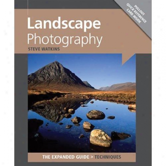 Ammonite Landscape Photography