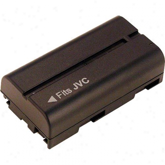 Battery Biz Camcorder Battery