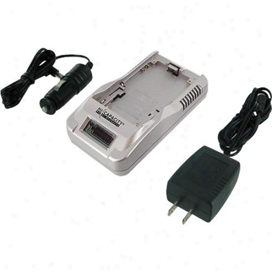 Battery Biz Goldstar Hi-capacity Charger