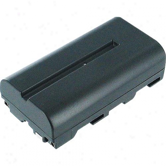 Battery Biz Hi-capacity Camcorder Battery