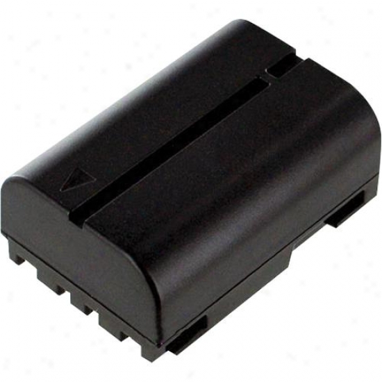 Battery Biz Jvc Camcorder Battery