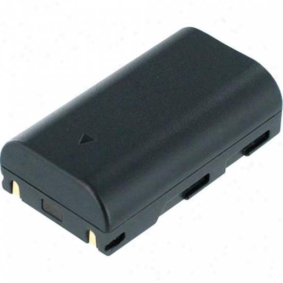 Battery Biz Samsung Camcorder Battery