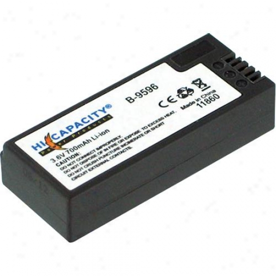 Battery Biz Sony Cyber-shot Battery