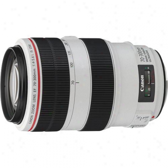 Canon 70-30Omm F/4-5.6l Ef Is Telephoto Zoom Usm