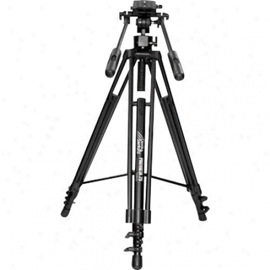 Davis & Sanford Provista 7518 Video Tripod And Head - Black