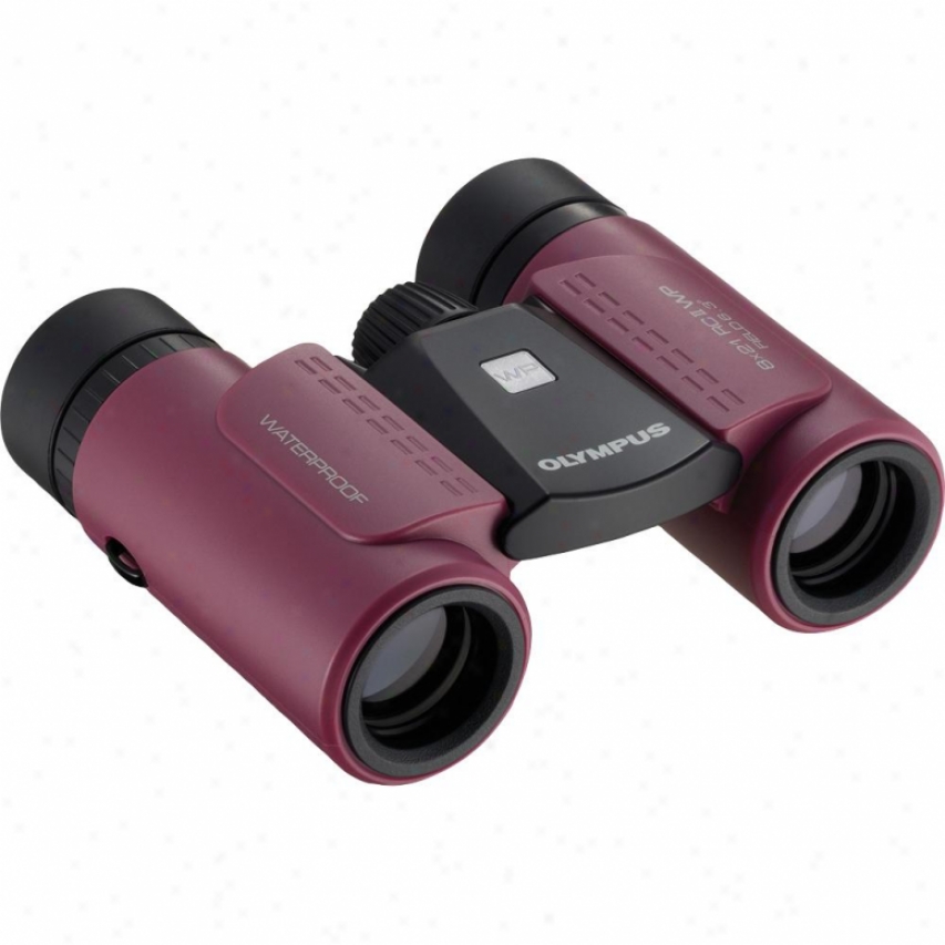 Olympus 8x21 Rcii Wp Magnification Wqterproof Foldable Binocular V501013ru00