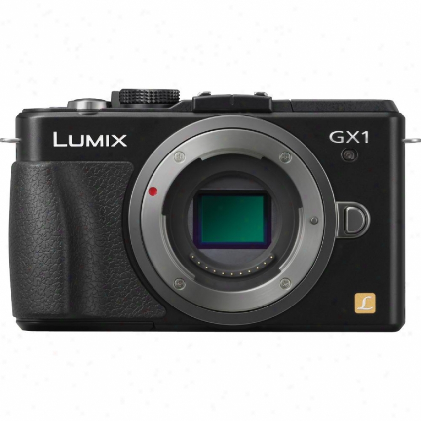 Panasonic 16mp Digital Camea Black