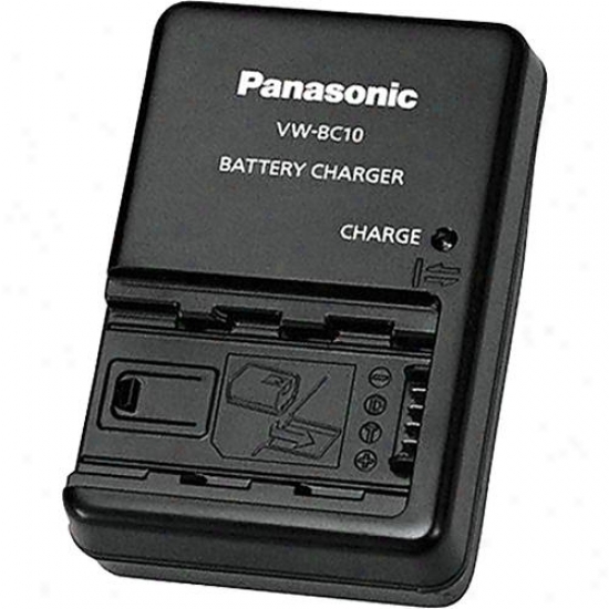 Panasonic Battery Charegr Vw-bc10