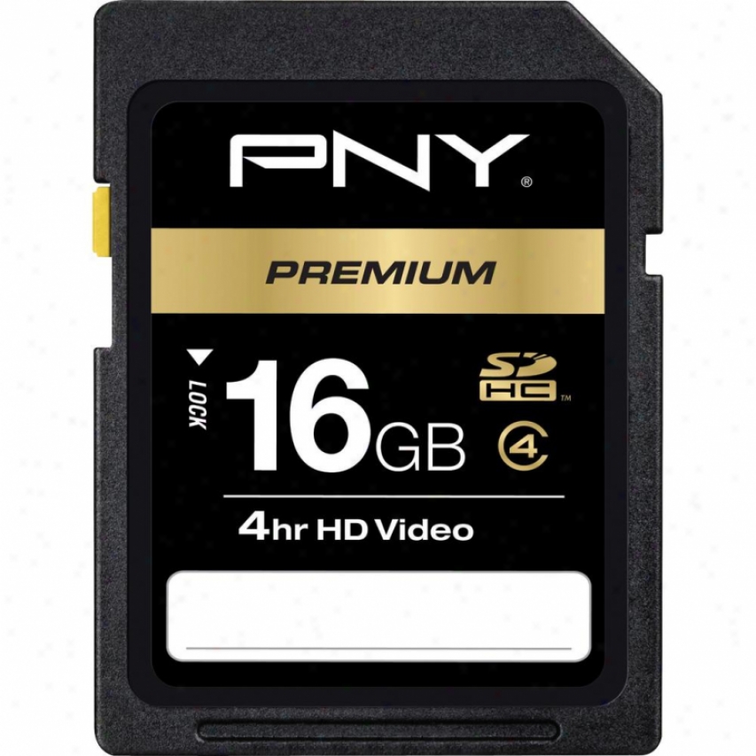 Pny 16gb Class 4 Secure Digital High Capacity Memory Card