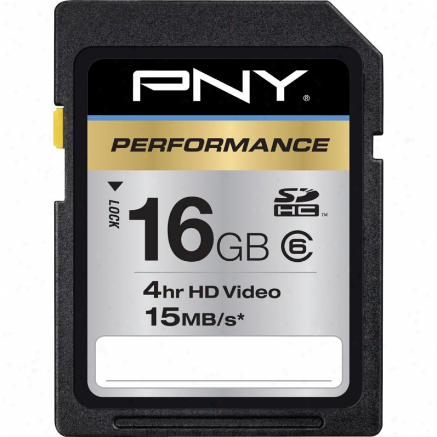 Pny 16gb Class 6 Secure Digital High Capacity Memory Card