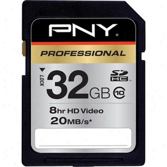 Pny 32gb Professional Series Sdhc Class 10 Memory Card